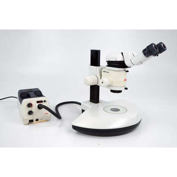 Leica MZ6 1x Stereomikroskop Stereomicroscope BF/DF Stand Base 25x/9.5b 411589