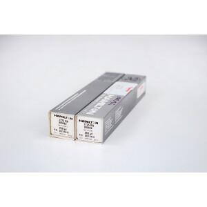 Thermo Dionex 713.81130 5805.2930 Syringe 250 µl