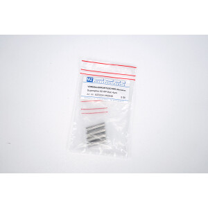 Vorsäulenkartusche Security Guard Cartridge 20x4mm...