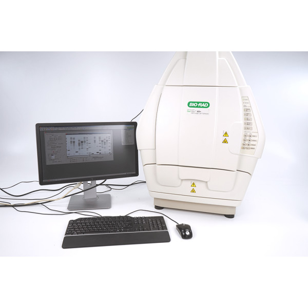 Bio-Rad Gel Doc XR+ UV Gel Documentation Imaging System + Quantity One Basic