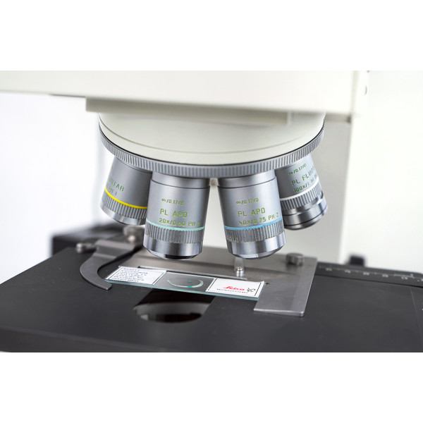 Leica DMRB Trino Fluorescence Fluoreszenz Phasenkontrast Mikroskop Apo Fluotar