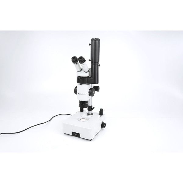 Wild Leica M8 6-50x Stereo Microscope Stereomikroskop 1x Plan 10x/21 Photo Tube