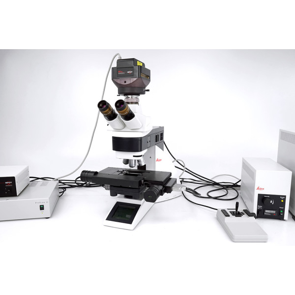 Leica DM5000 B Fluorescence Motorized Stage Microscope Spot RT Camera