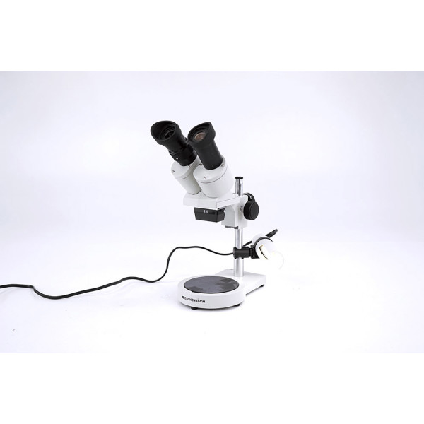 Eschenbach Stereomikroskop Stereo Microscope 20x with Stand Illumination