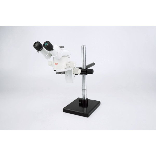 Leica MZ6 10x/21B Trinokular Stereomikroskop Stereomicroscope 0.63x Stativ