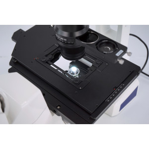 Zeiss Axio Vert.A1 Fluorescence Microsocope