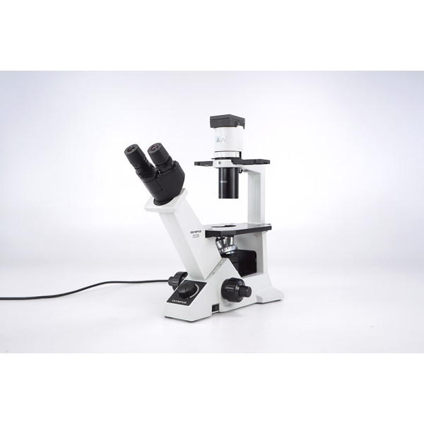 Olympus CK30 Inverted Phase Contrast Microscope Mikroskop 4/10/20/40x