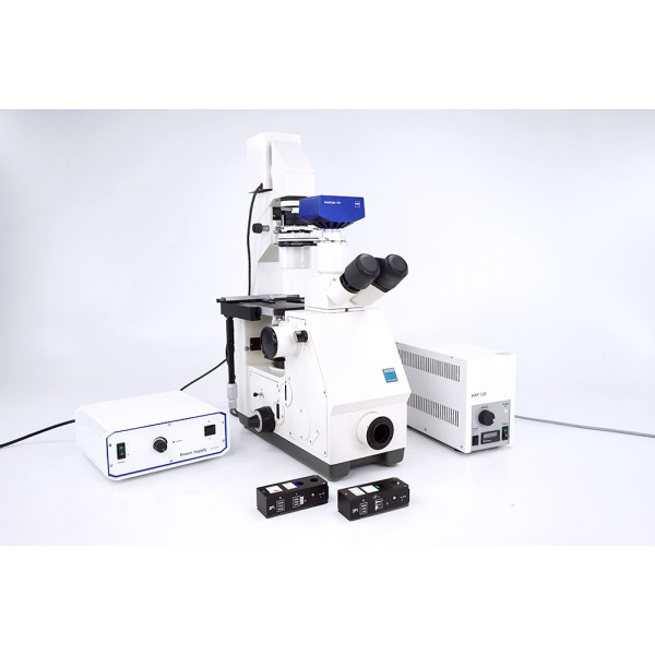 Zeiss Axiovert Inverted Fluorescence Microscope PH 2,5/5/10/20 FITC DAPI TxRed