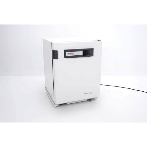 Thermo HERAcell Vios 250i CO2 Incubator Inkubator Edelstahl SS Interieur (2015)