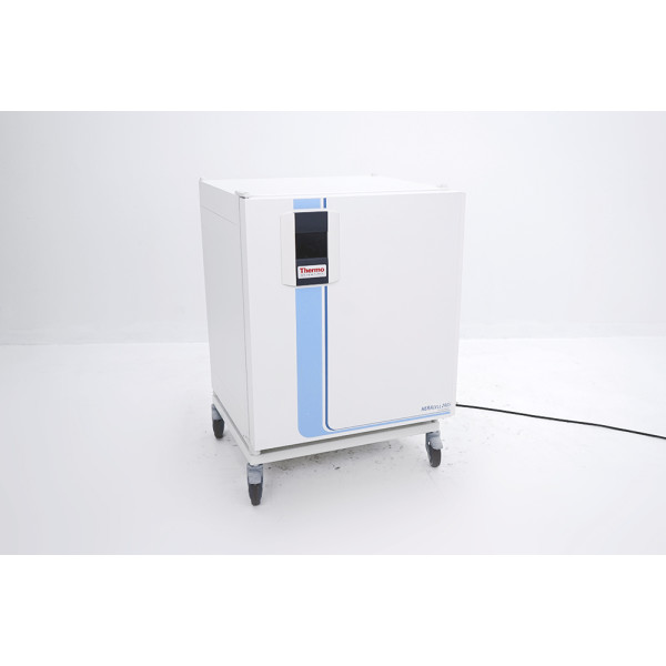 Thermo Scientific Heracell 240i CO2 Incubator Inkubator Edelstahl SS Interieur (2022)