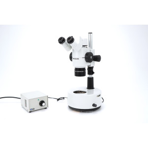 Wild Herrbrugg Leica M8 Stereomikroskop Stereo Microscope...