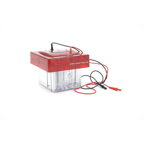 Invitrogen Xcell4 Surelock Midi 600V 200W