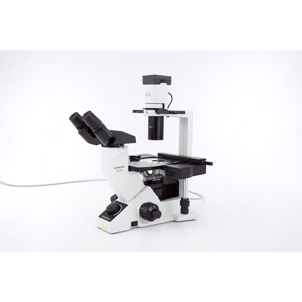 Olympus CKX40 Inverted Cell Culture Microscope 4/10/40x Phase Contrast