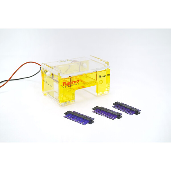 Thermo Scientific Owl Easycast B1A Model 7312 Mini Gel Electrophoresis Systems