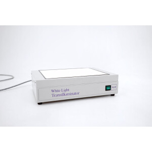 UVP White Light Transilluminator TW-26 95-0208-02