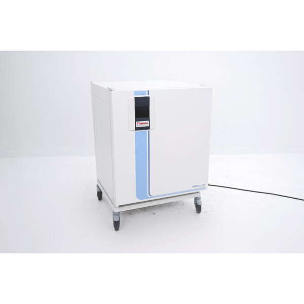 Thermo Scientific Heracell 240i CO2 Incubator Inkubator Edelstahl SS Interieur 2017