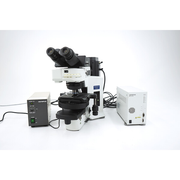 Olympus BX61 Fluorescence Microscope