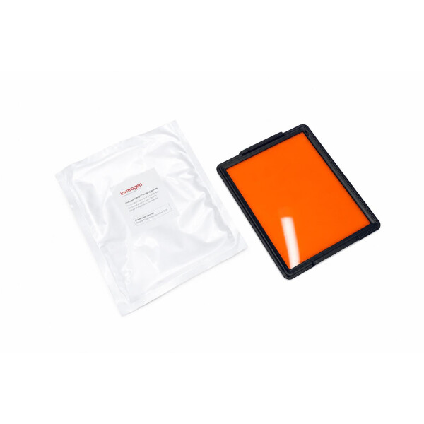 Thermo Scientific iBright System Contrast Tray A56597 Invitrogen