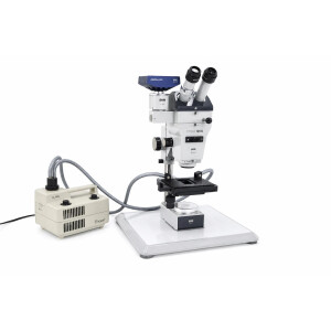Zeiss Stemi SV8 Stereomikroskop Stero Microscope...