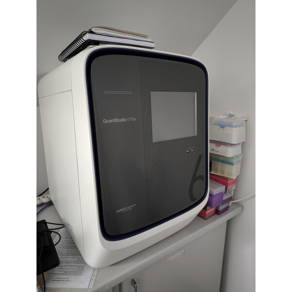 Thermo Applied Biosystems QuantStudio 6 Real Time PCR 96/384 Well